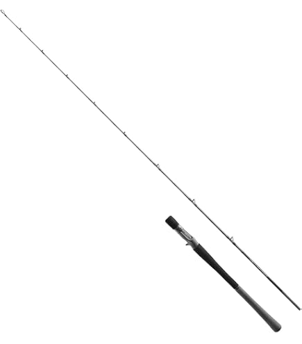 Amazon | シマノ(SHIMANO) オフショアロッド 25ソルティー